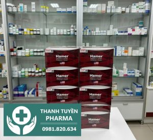 shop-keo-sam-ngam-hamer-hcm-tang-sinh-ly